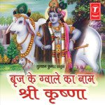 Braj Ke Gwale Ka Naam Shri Krishna - Nupur Gadhkari Song Download